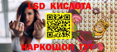 дживик Кандалакша
