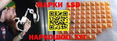 дживик Кандалакша