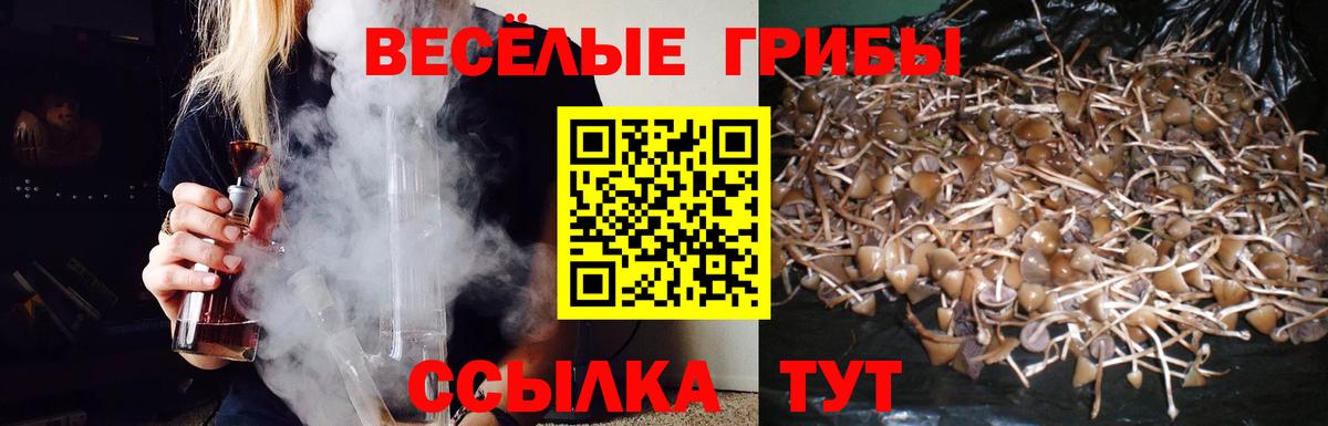 Галлюциногенные грибы Psilocybe  Вход с VPN  Псилоцибиновые грибы прущие грибы  Камышлов 